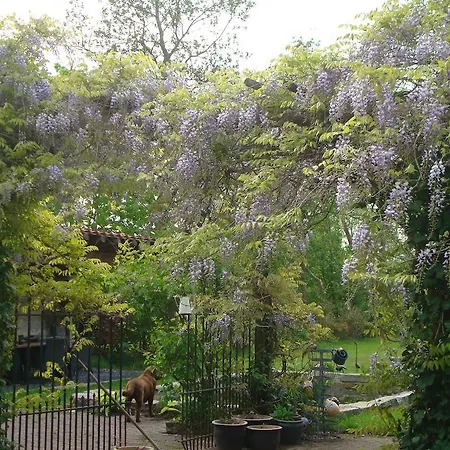 Vakantiewoning De Lotus Hoevelaken