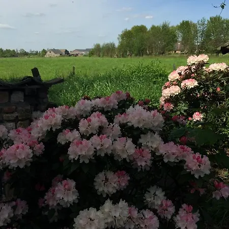 Vakantiewoning De Lotus Maison d'hôtes Hoevelaken