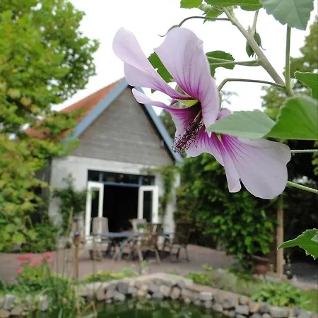 Vakantiewoning De Lotus