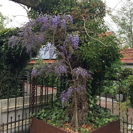 Vakantiewoning De Lotus Maison d'hôtes Hoevelaken