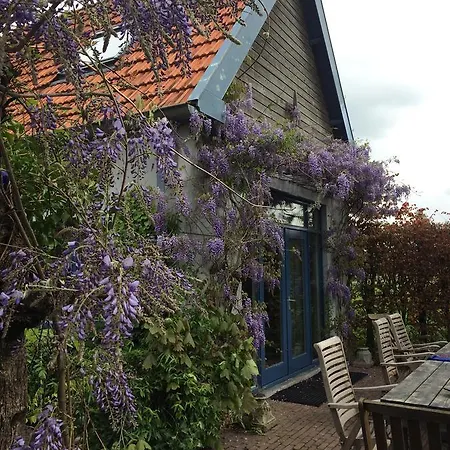 Gæstehus Vakantiewoning De Lotus Hoevelaken