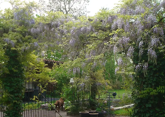 Vakantiewoning De Lotus Hoevelaken