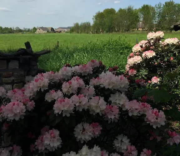 Vakantiewoning De Lotus Gasthof Hoevelaken