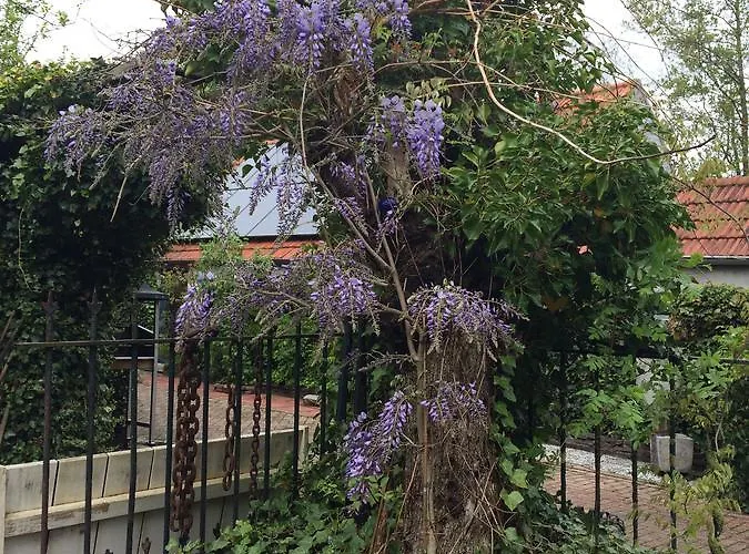 Vakantiewoning De Lotus Gasthof Hoevelaken