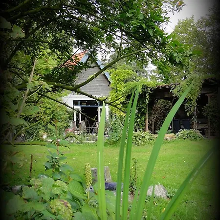 Gæstehus Vakantiewoning De Lotus 3*