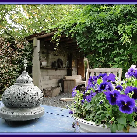 De Lotus Bed & Breakfast *