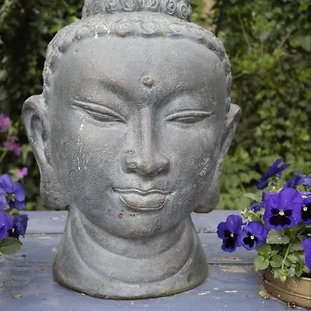 De Lotus Bed & Breakfast Hoevelaken