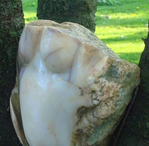 Vakantiewoning De Lotus