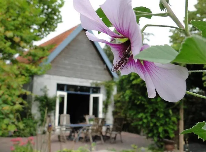 Vakantiewoning De Lotus